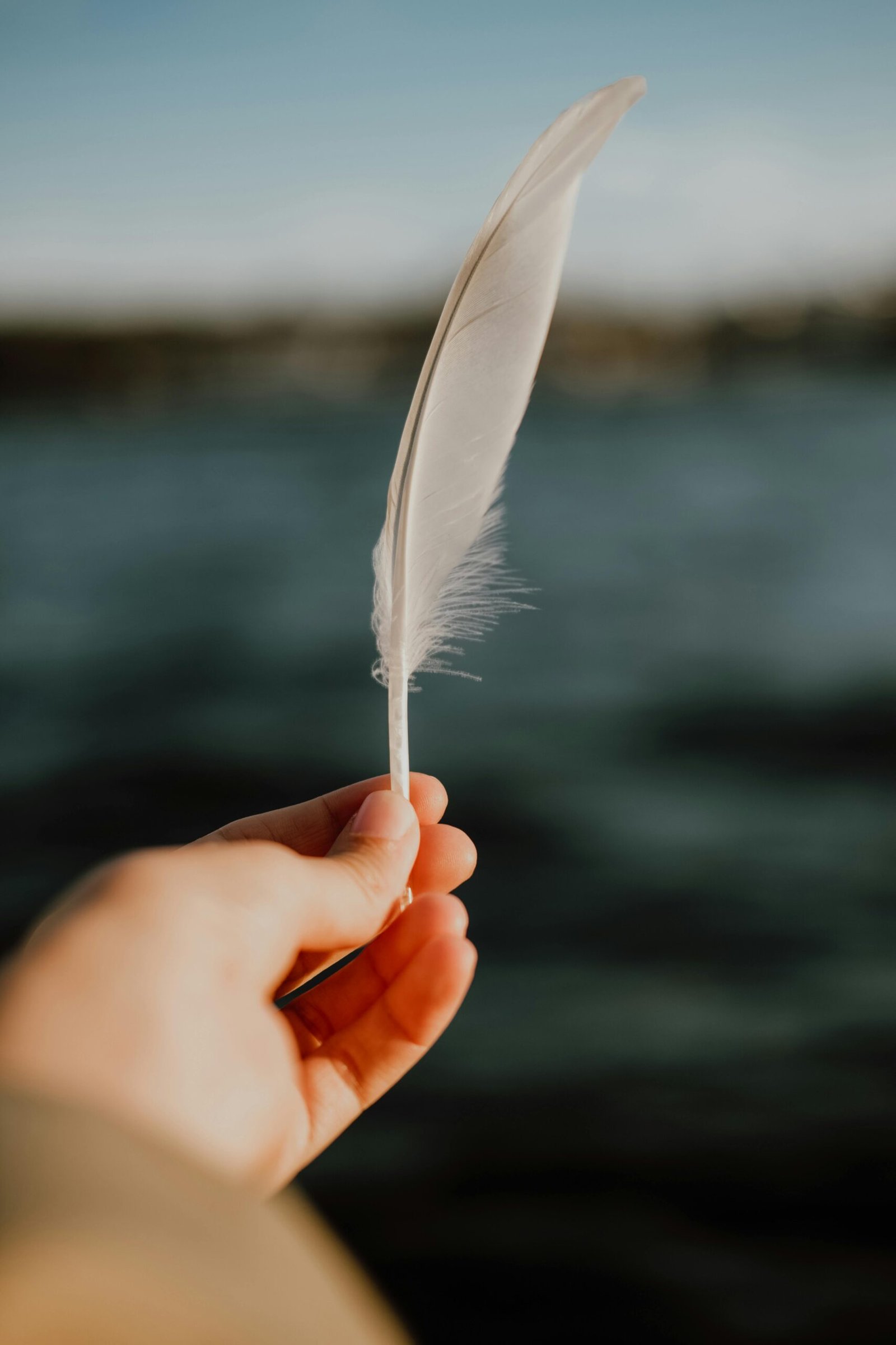 pexels-esra-afsar-123882149-13799829